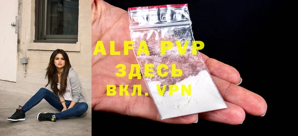 PSILOCYBIN Верея