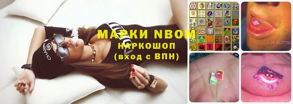 PSILOCYBIN Верея